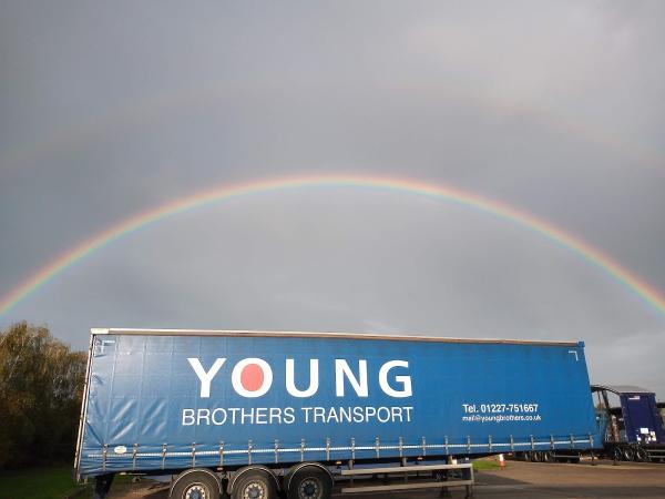 Young Brothers Transport Ltd