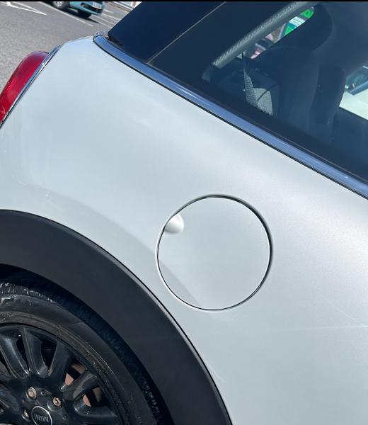 Paint Chip Techniques Ltd