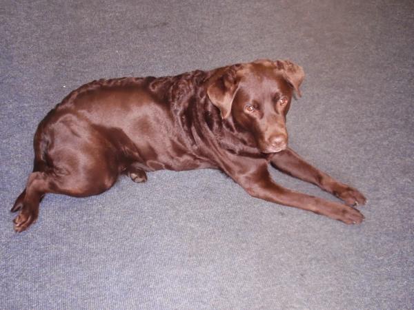 Deanfield MOT Test Centre