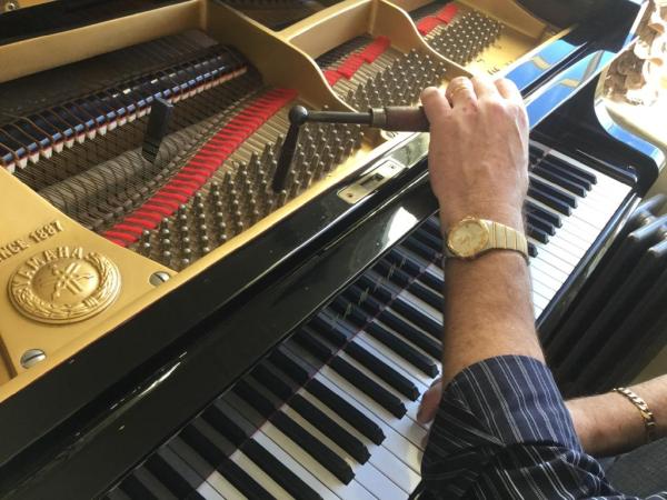In Tune Piano Tuning & Repairs