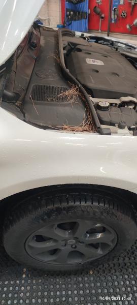 B.p.c Motor Engineers