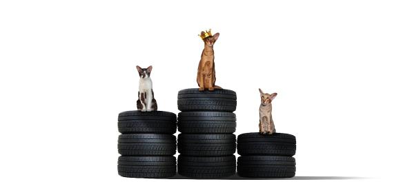 Top Cat Tyres Essex