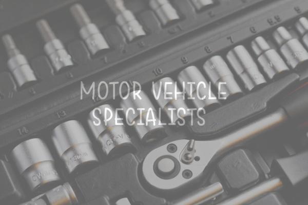 Motor Vehicle Specialists