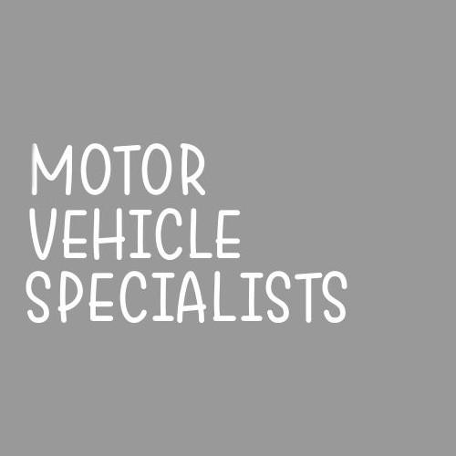 Motor Vehicle Specialists