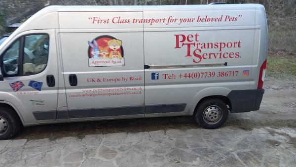 Pet Transport Services