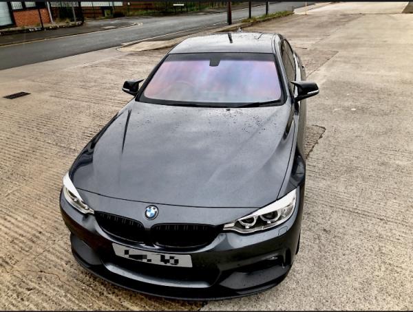 Evolution Tints