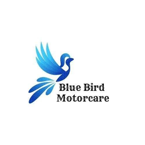 Blue Bird Motor Care