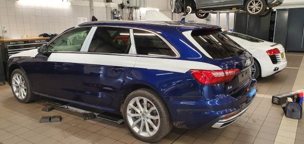 Whitehorse Tints