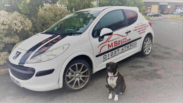 MS Auto Repairs