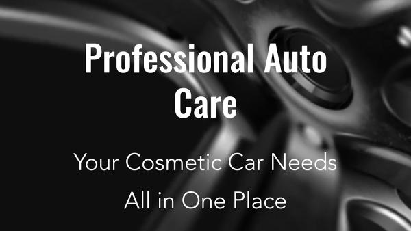 Professional Auto Care LTD