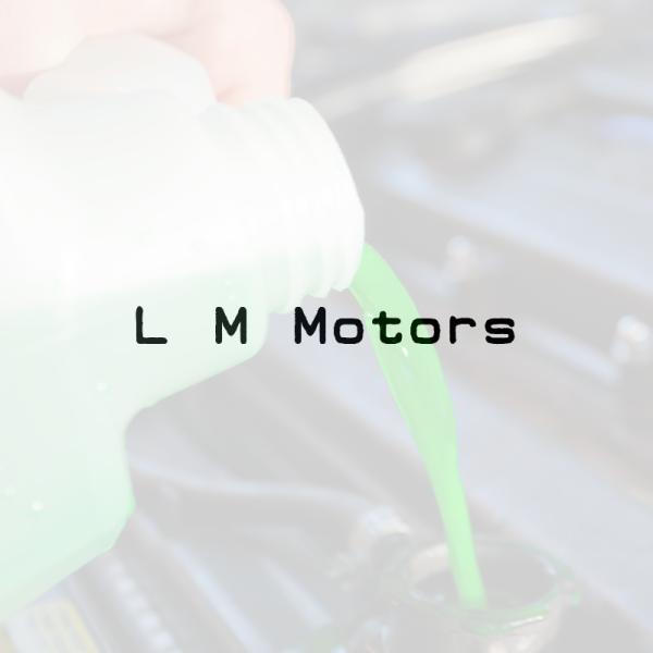 L M Motors