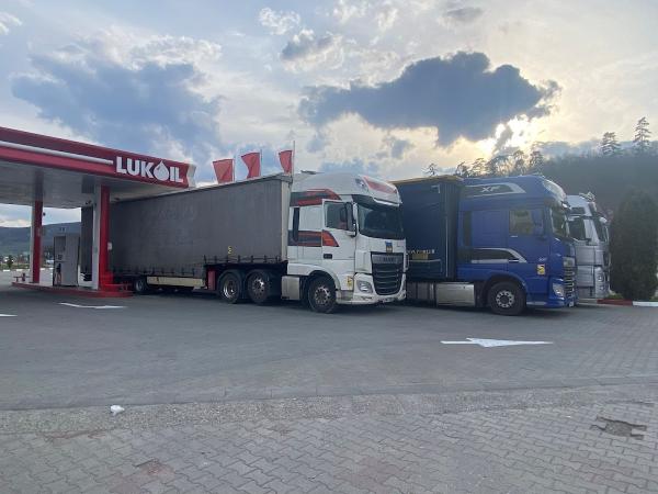 Three Counties International Transport Ltd