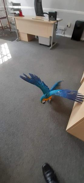 Kombined Motor Services