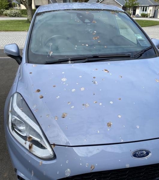 Brixham Hand Carwash