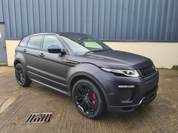 Elite Wrapping & Tints