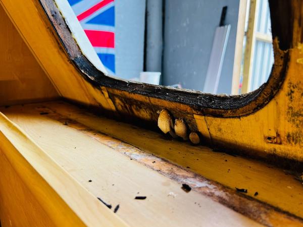 The Caravan Repair Man