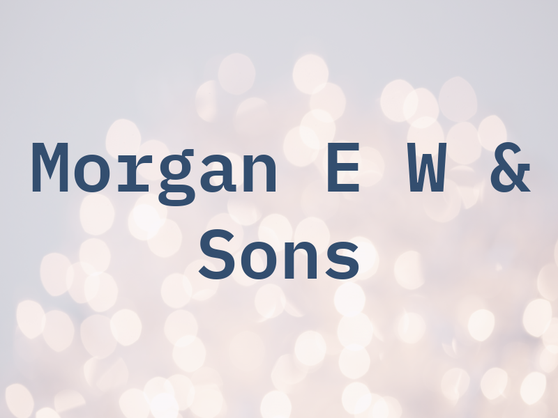 Morgan E W & Sons