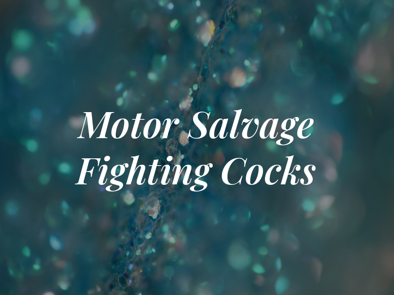 Motor Salvage Fighting Cocks Ltd