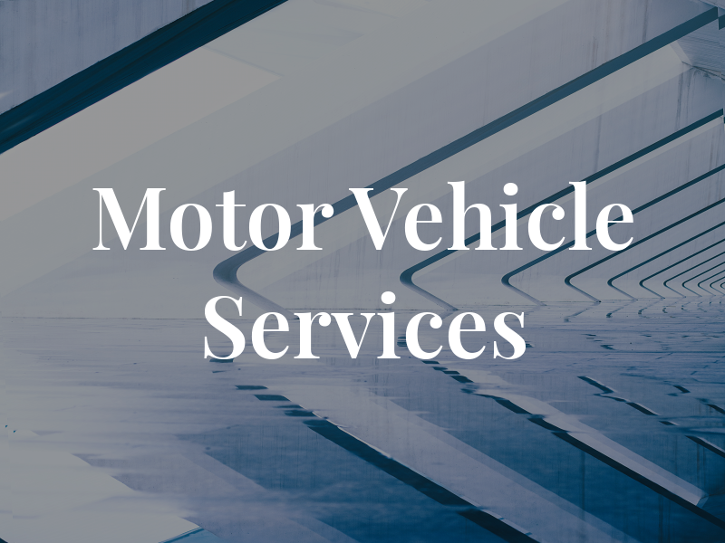 Motor Vehicle Services Ltd