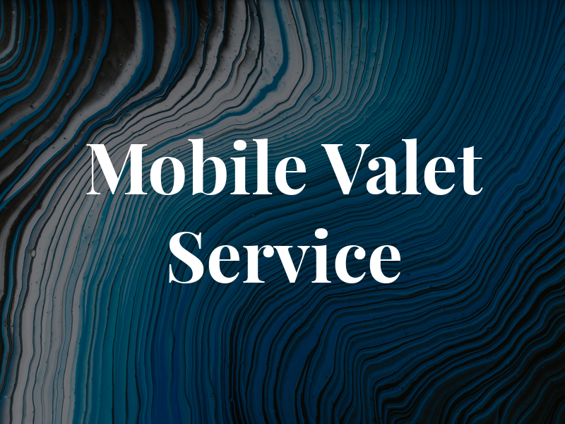Mr T's Mobile Valet Service