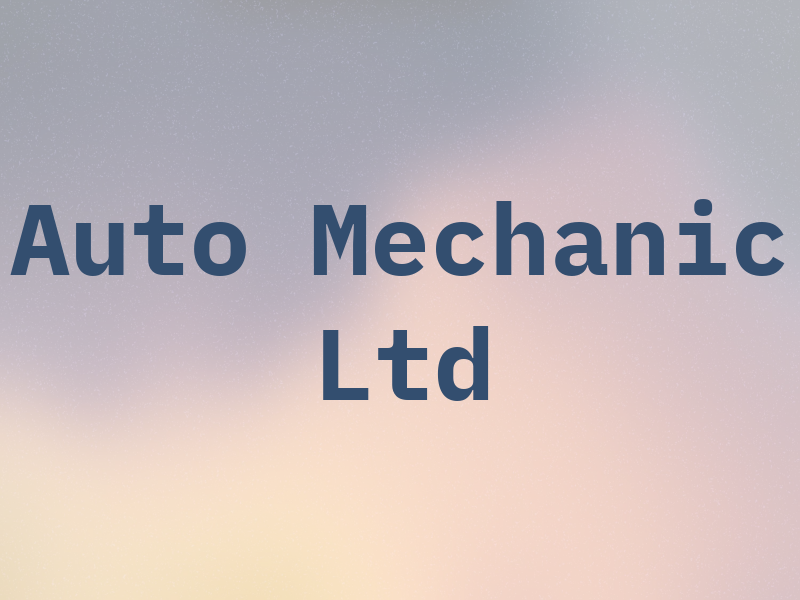 Auto Mechanic Ltd