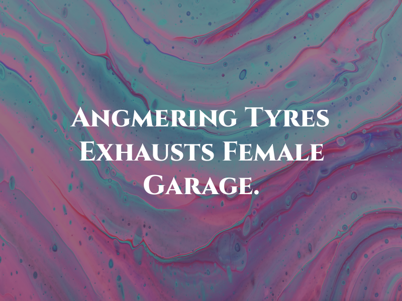Angmering Tyres & Exhausts ALL Female Garage.