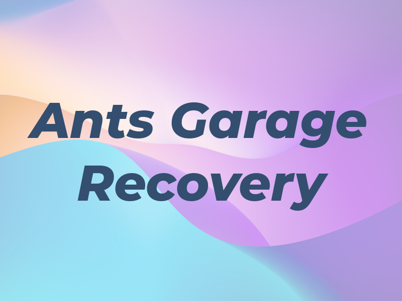 Ants Garage Recovery