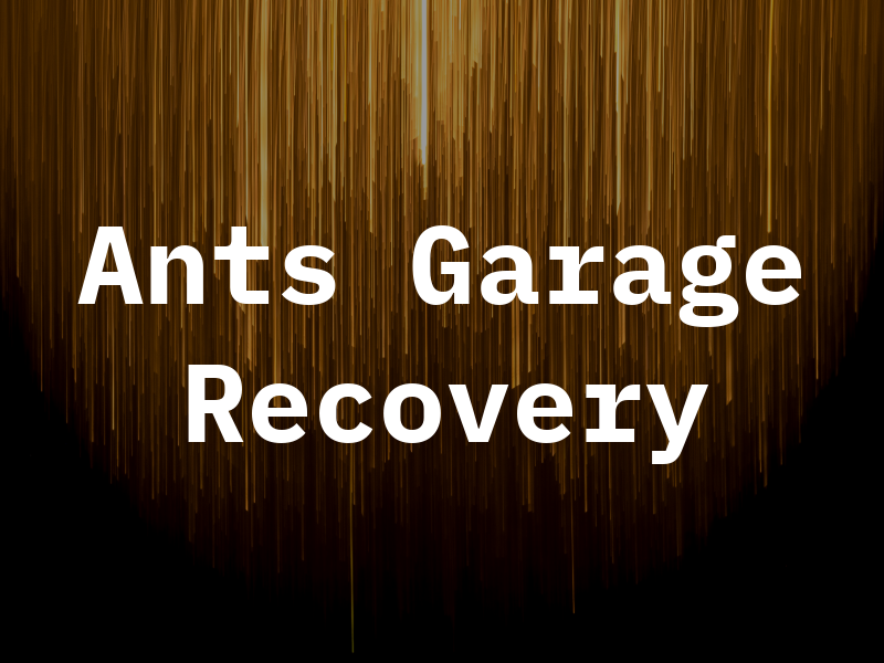 Ants Garage Recovery