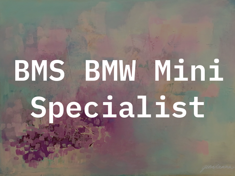 BMS BMW Mini Specialist