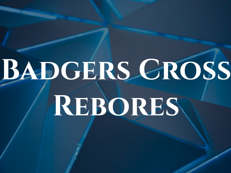 Badgers Cross Rebores