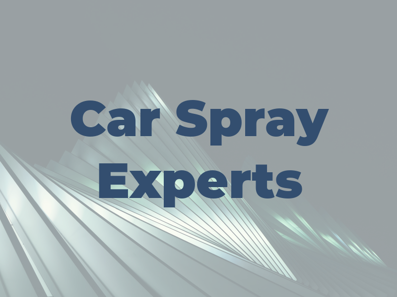 Car Spray Experts