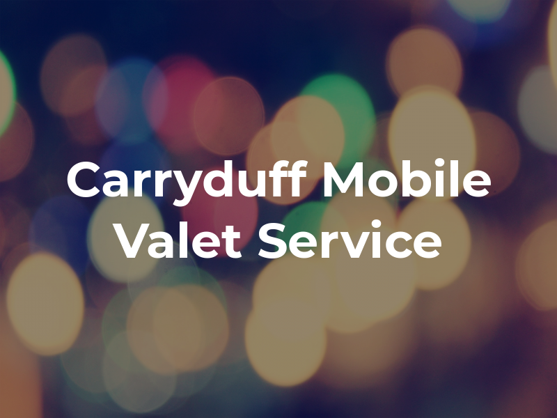 Carryduff Mobile Valet Service