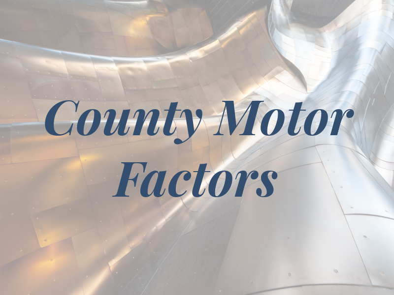 County Motor Factors