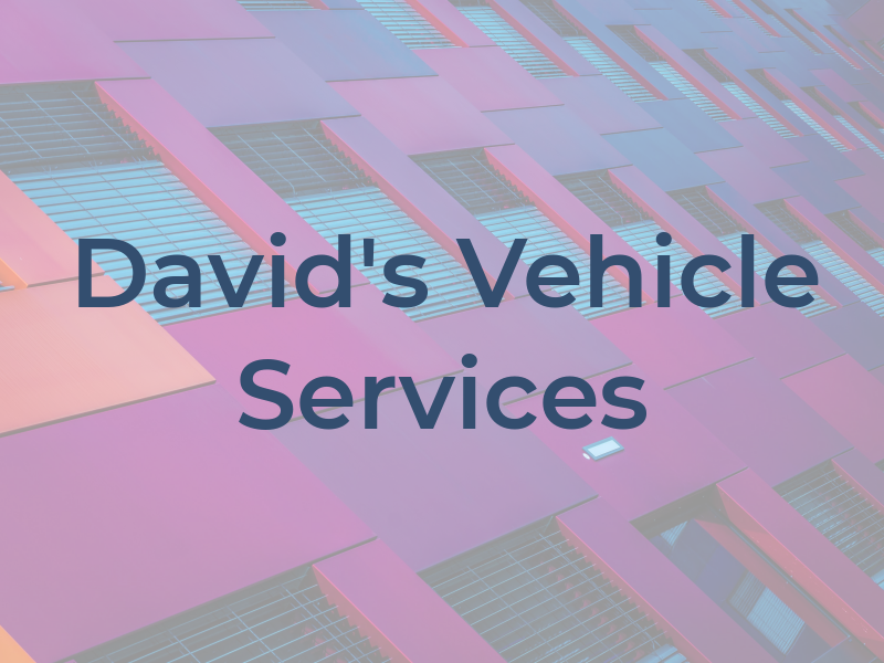 David's Vehicle Services LTD