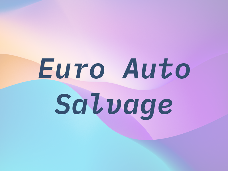 Euro Auto Salvage