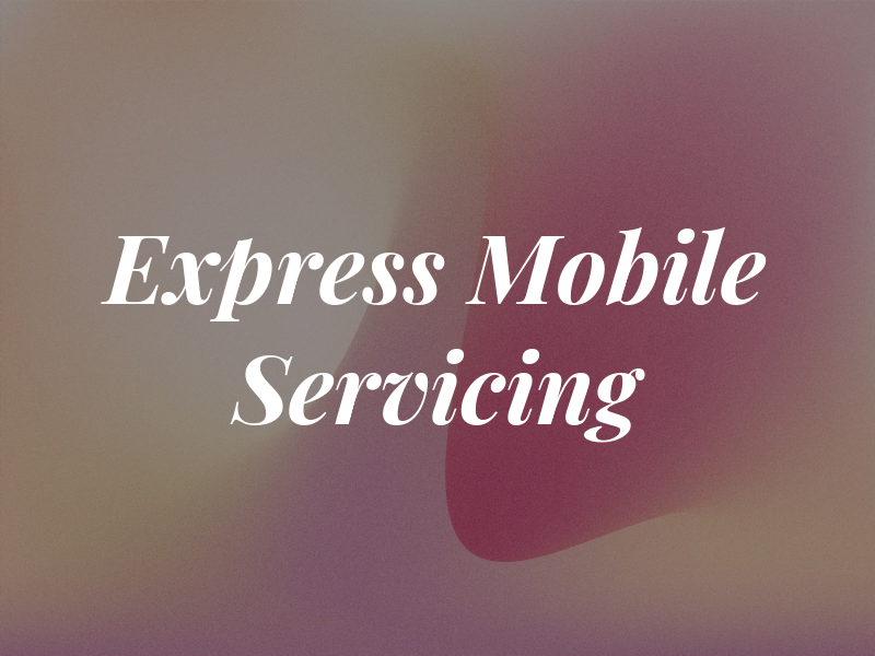 Express Mobile Car Servicing