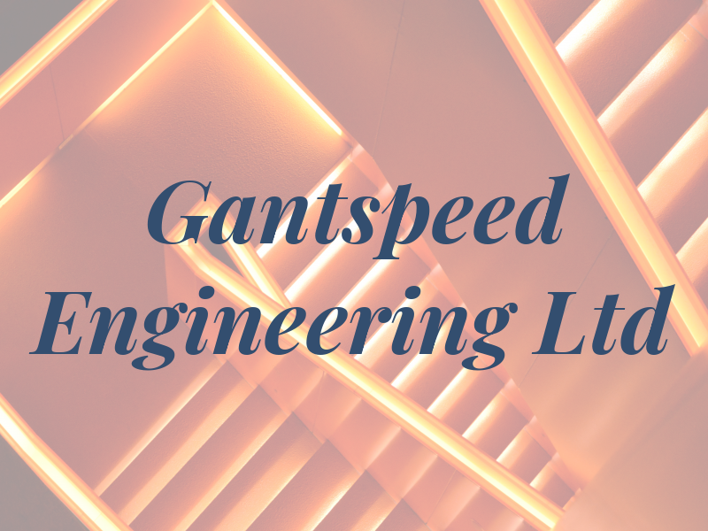 Gantspeed Engineering Ltd