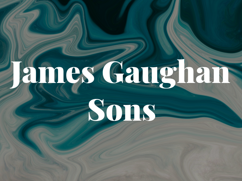James Gaughan & Sons Ltd
