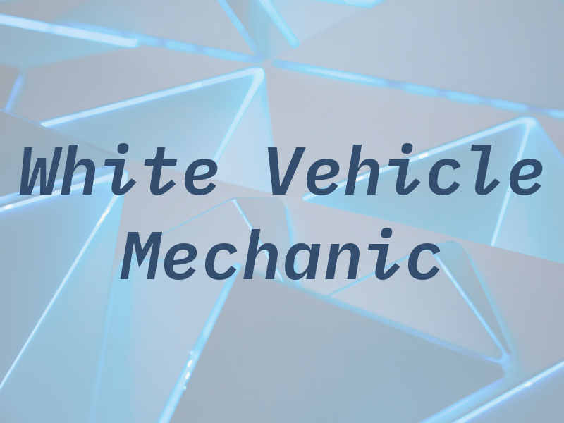 L White Vehicle Mechanic