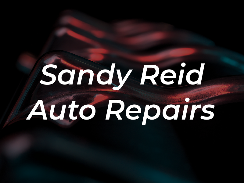 Sandy Reid S L R Auto Repairs Ltd