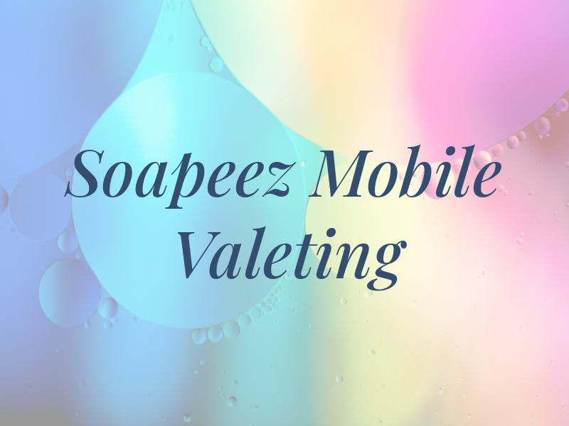 Soapeez Mobile Valeting