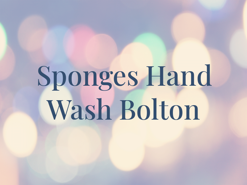 Sponges R us Hand Car Wash Bolton