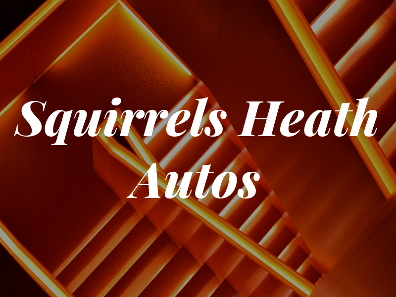 Squirrels Heath Autos