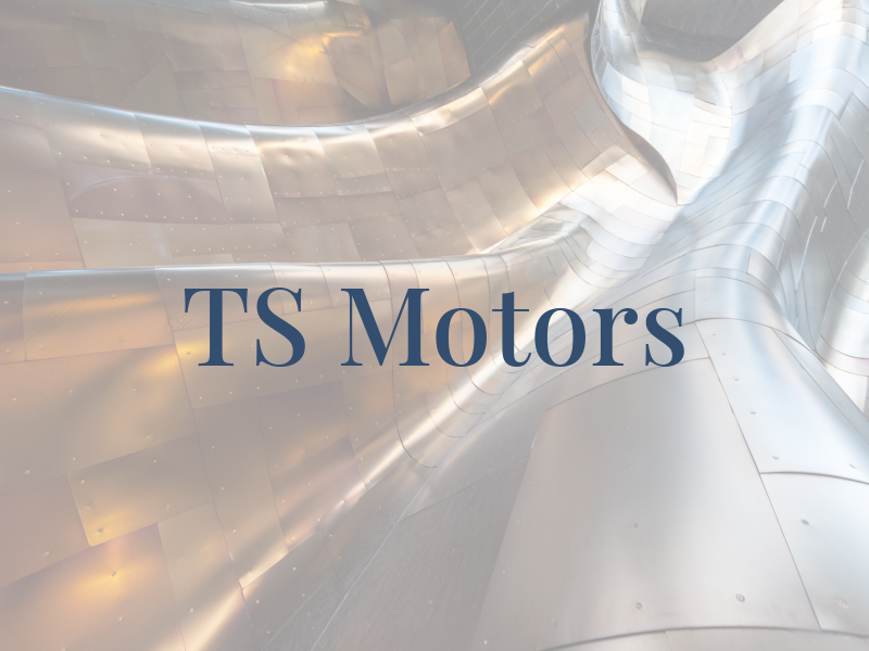 TS Motors