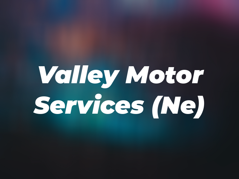 Valley Motor Services (Ne) LTD