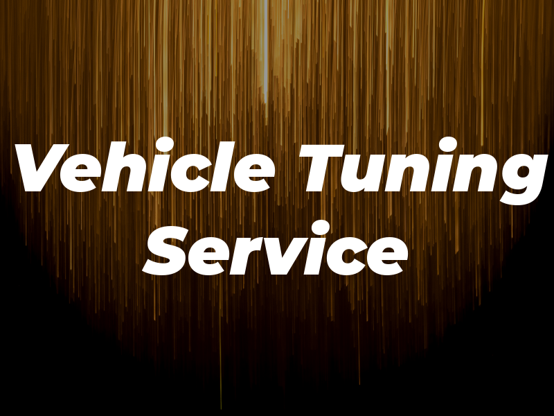 Vehicle Tuning Service