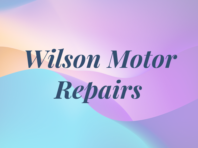 Wilson Motor Repairs