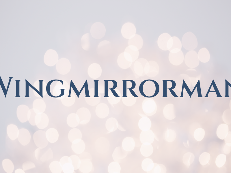 Wingmirrorman